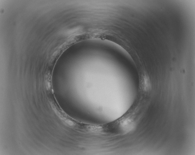 X0000052940719200507081144