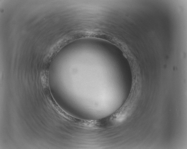 X0000052940720200507081144