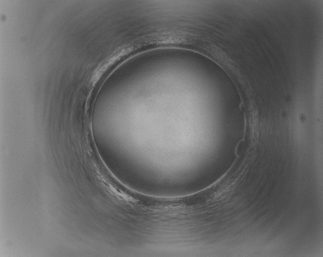 X0000052940721200507081143