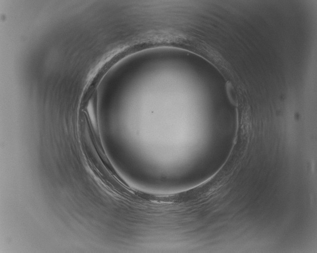 X0000052940722200507081143