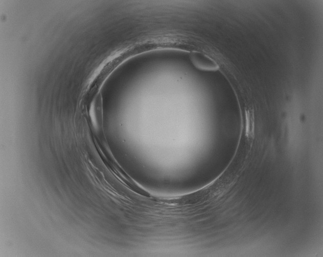 X0000052940723200507081143