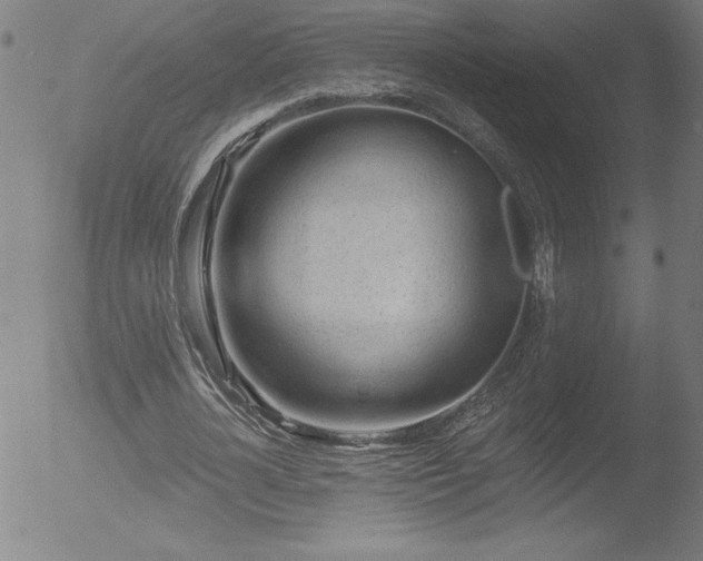 X0000052940724200507081143