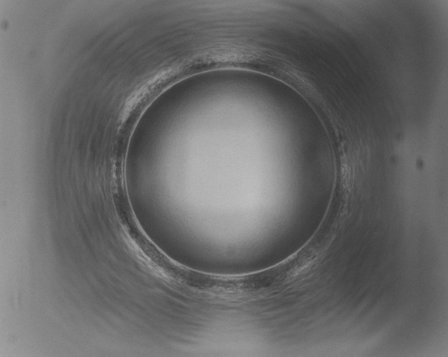 X0000052940725200507081143