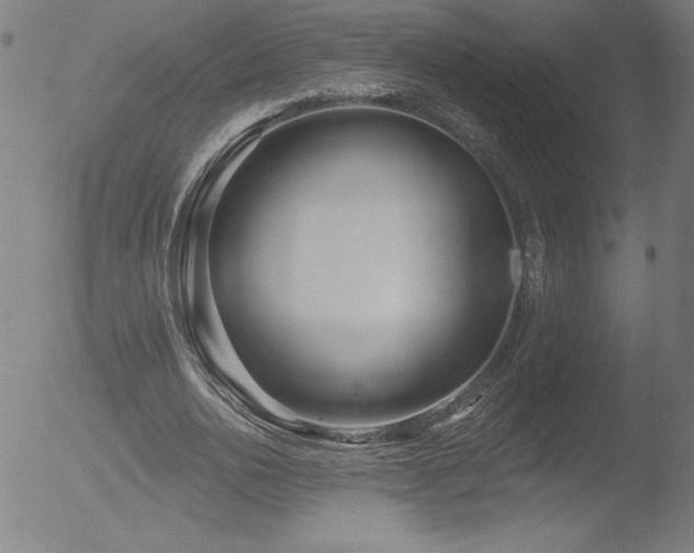 X0000052940726200507081143