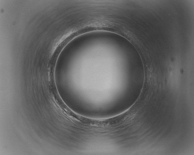 X0000052940727200507081143