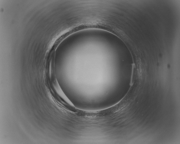 X0000052940728200507081143