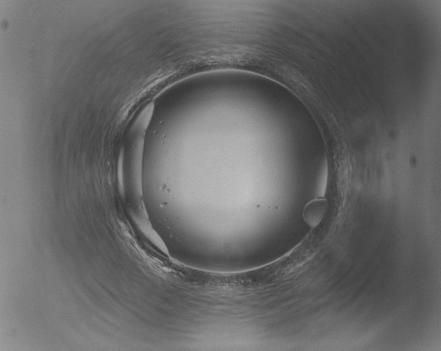 X0000052940729200507081143