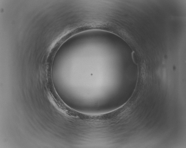 X0000052940730200507081143