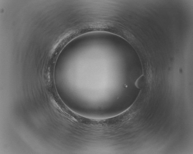 X0000052940731200507081143