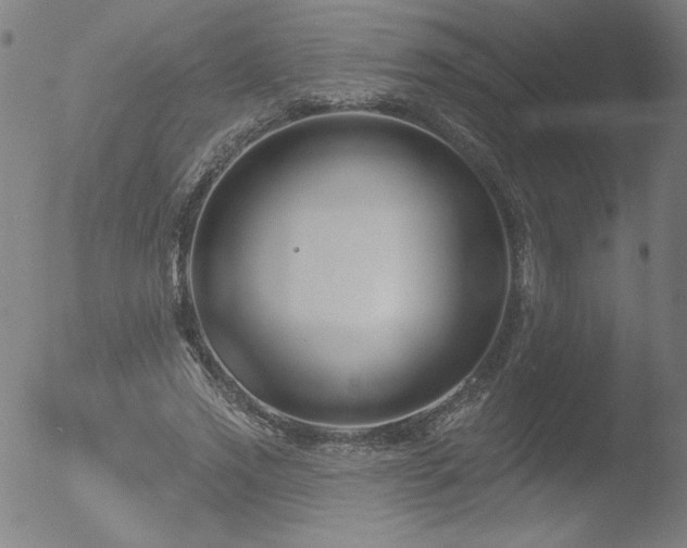 X0000052940733200507081143