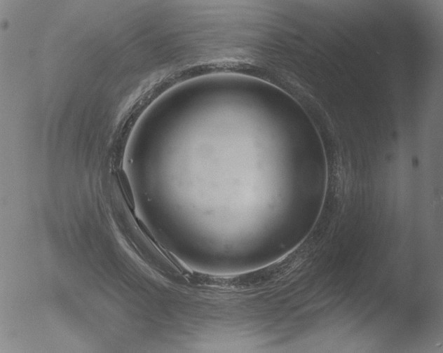 X0000052940734200507081143