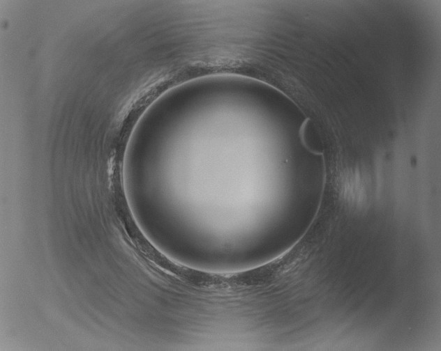 X0000052940735200507081143