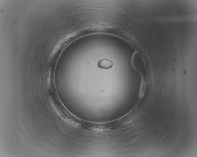 X0000052940736200507081143