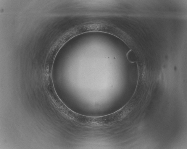 X0000052940737200507081143