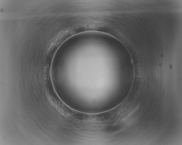 X0000052940738200507081143