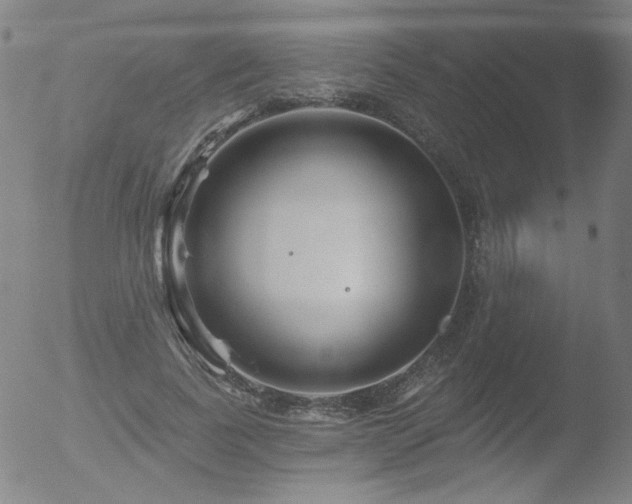 X0000052940739200507081143