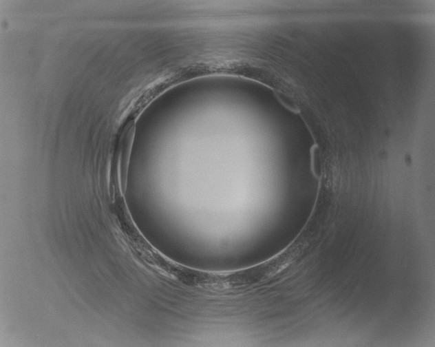 X0000052940740200507081143