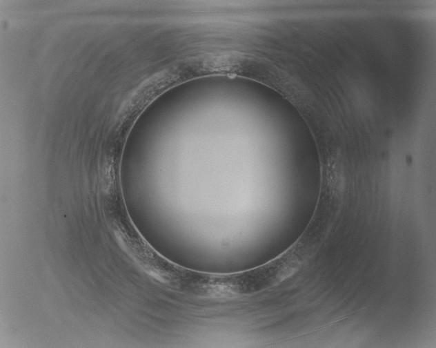 X0000052940741200507081143