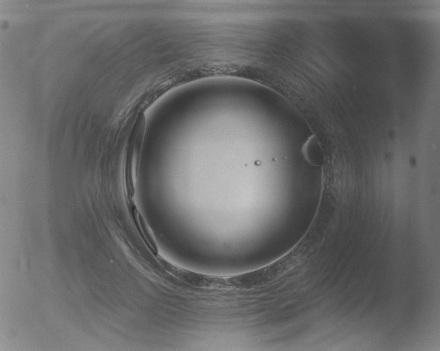 X0000052940742200507081143