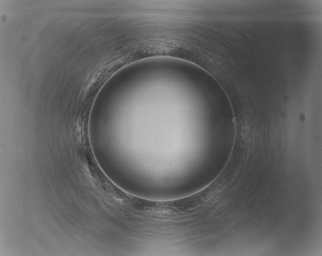 X0000052940743200507081143