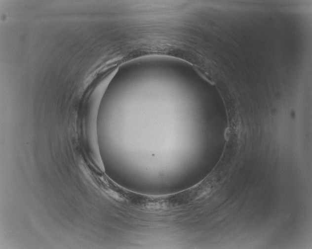 X0000052940744200507081143