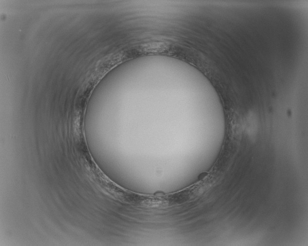 X0000052940745200507081144