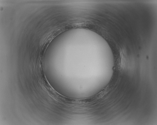 X0000052940746200507081144