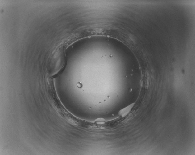 X0000052940747200507081144