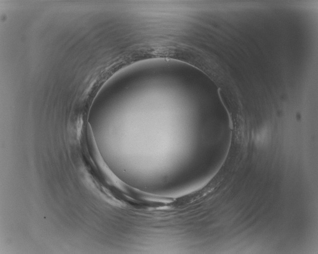 X0000052940748200507081144