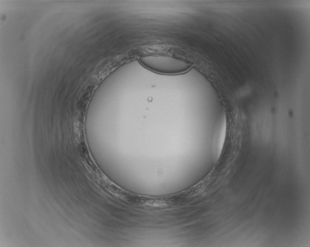 X0000052940749200507081144