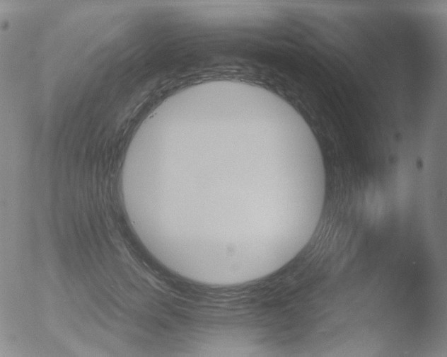 X0000052940750200507081144