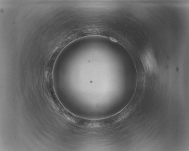 X0000052940751200507081144