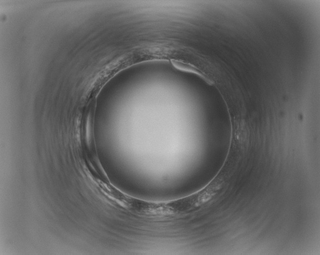 X0000052940752200507081144