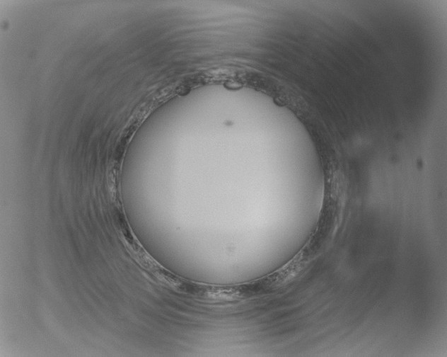 X0000052940753200507081144