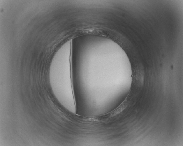 X0000052940754200507081144