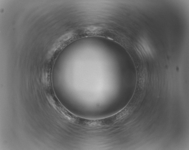 X0000052940755200507081144