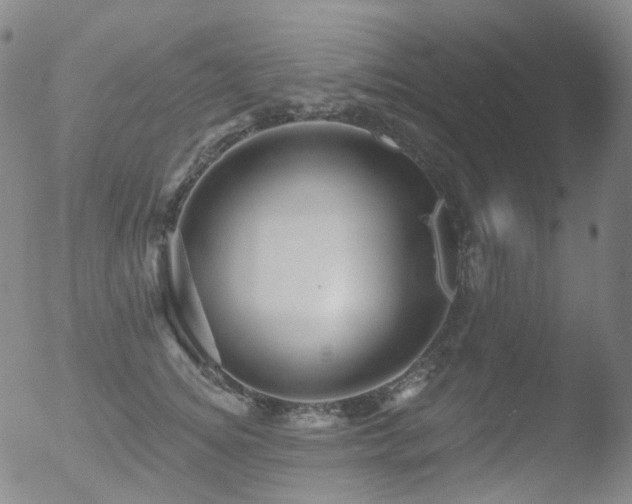 X0000052940756200507081144