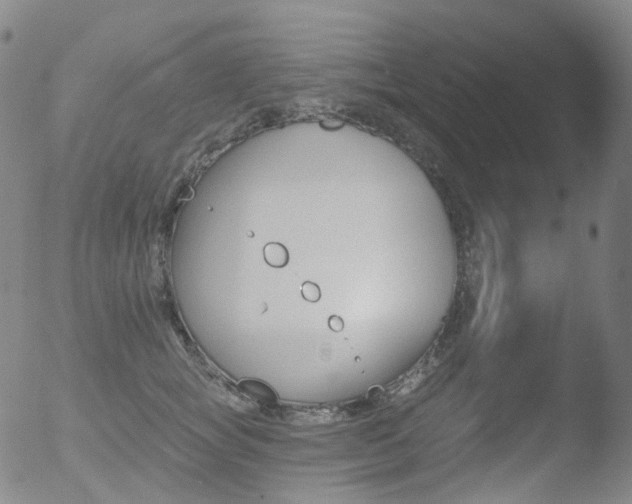 X0000052940757200507081144