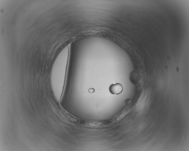 X0000052940758200507081144