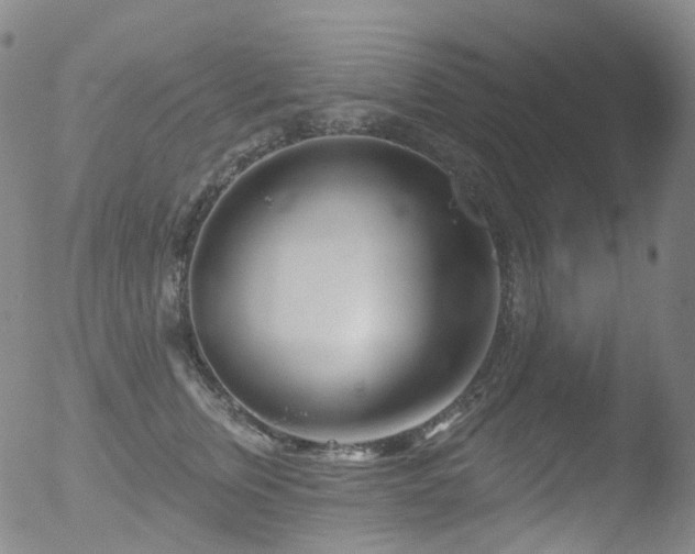 X0000052940759200507081144