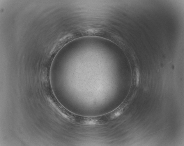 X0000052940760200507081144