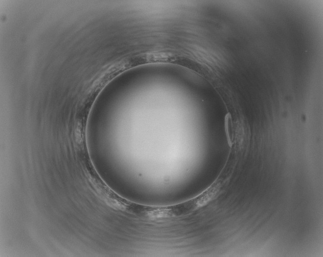 X0000052940761200507081144