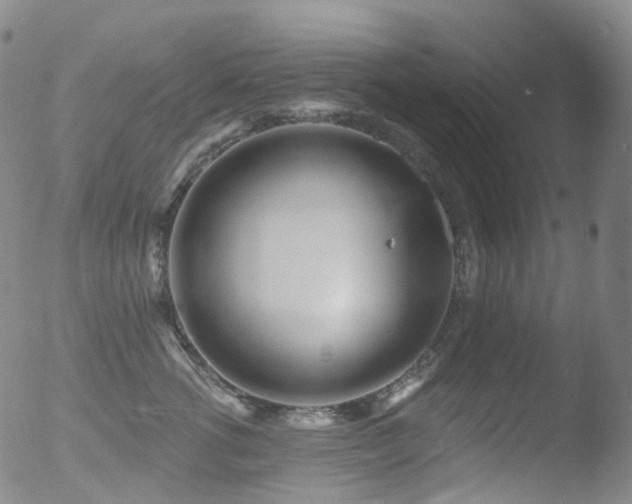 X0000052940762200507081144