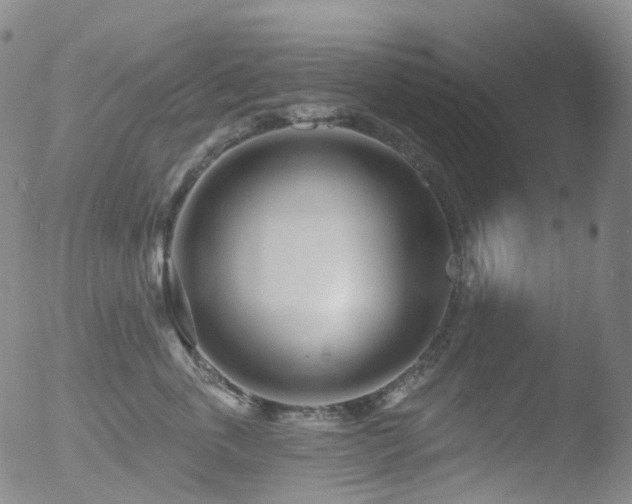 X0000052940763200507081144