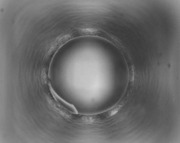 X0000052940764200507081144