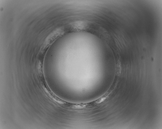 X0000052940765200507081144