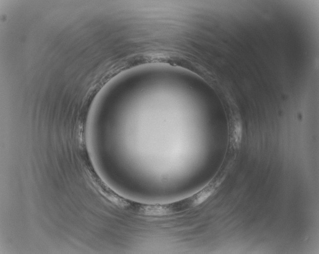 X0000052940766200507081144