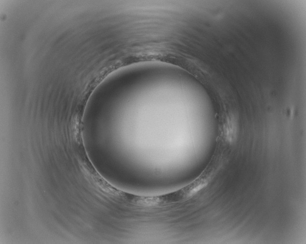 X0000052940767200507081144