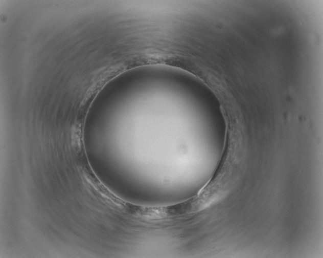 X0000052940768200507081144