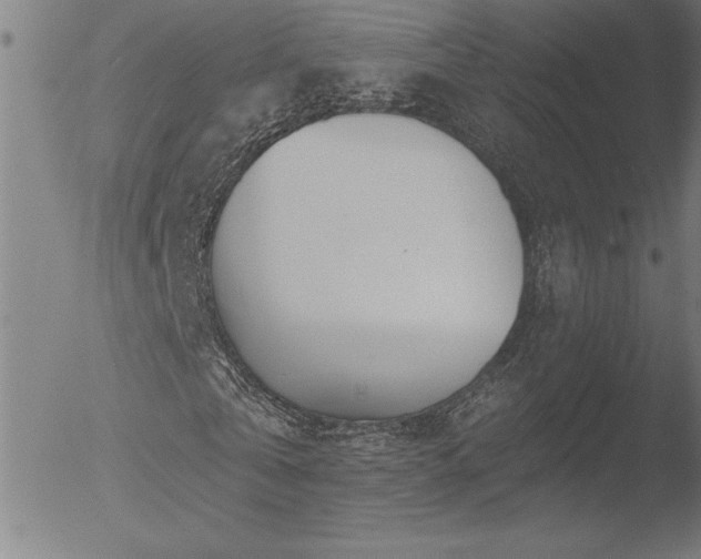 X0000052940769200507081143